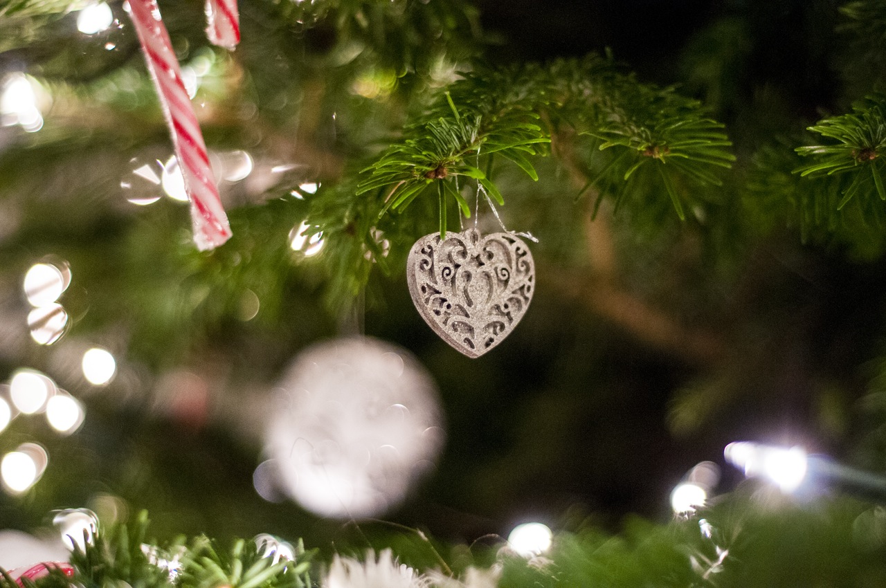 Fay Thompson on Unconditional Love at Christmas